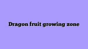 Dragon fruit growing zone