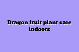 Dragon fruit plant care indoors
