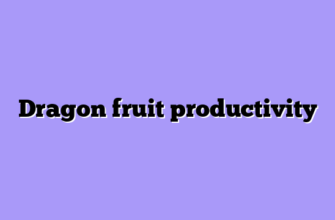 Dragon fruit productivity