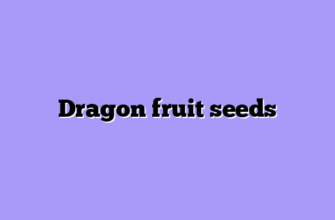 Dragon fruit seeds