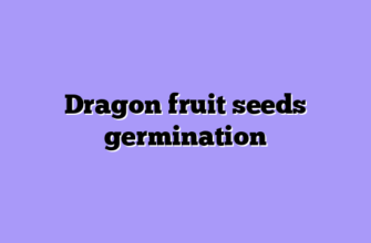 Dragon fruit seeds germination
