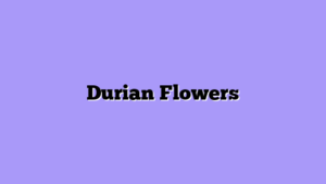 Durian Flowers