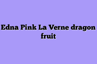 Edna Pink La Verne dragon fruit