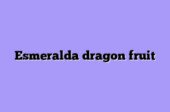 Esmeralda dragon fruit
