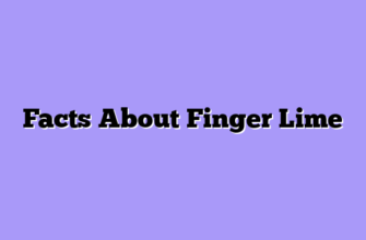 Facts About Finger Lime