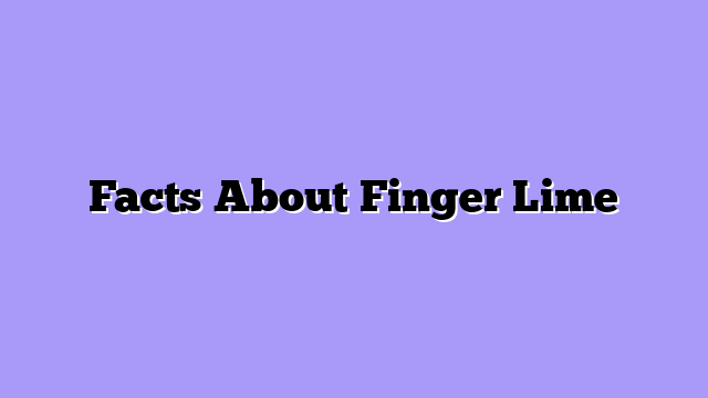 Facts About Finger Lime
