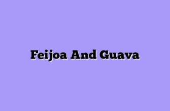 Feijoa And Guava