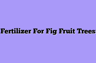 Fertilizer For Fig Fruit Trees