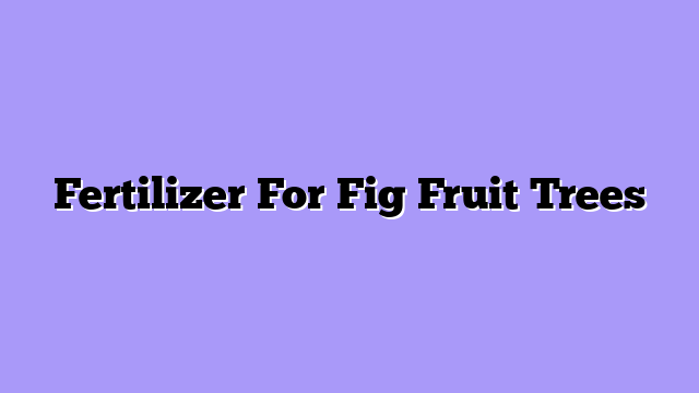Fertilizer For Fig Fruit Trees