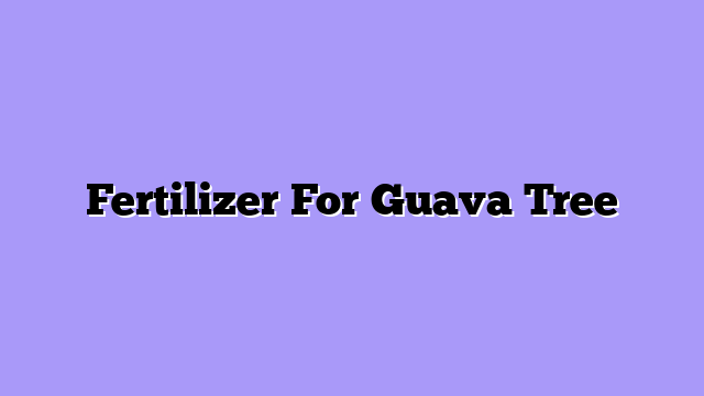 Fertilizer For Guava Tree