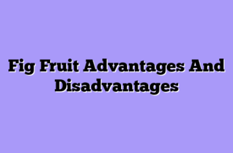 Fig Fruit Advantages And Disadvantages
