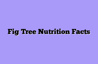 Fig Tree Nutrition Facts