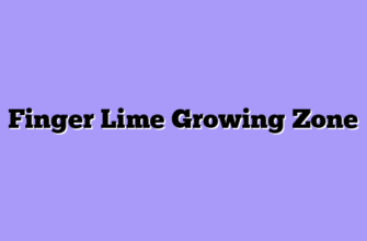 Finger Lime Growing Zone
