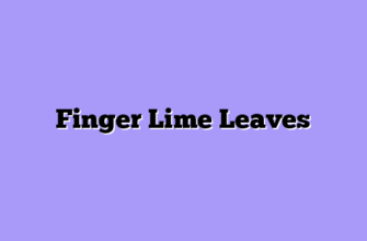Finger Lime Leaves