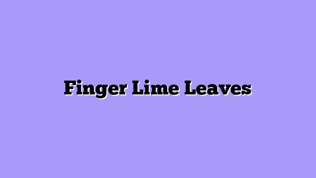 Finger Lime Leaves