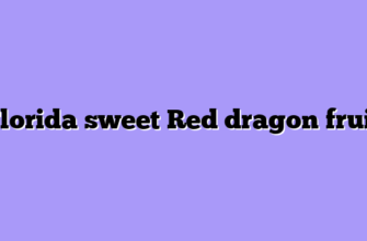 Florida sweet Red dragon fruit