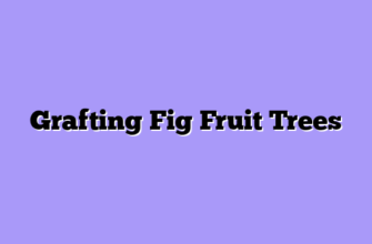 Grafting Fig Fruit Trees