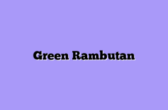 Green Rambutan