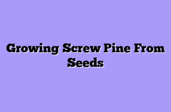 Growing Screw Pine From Seeds