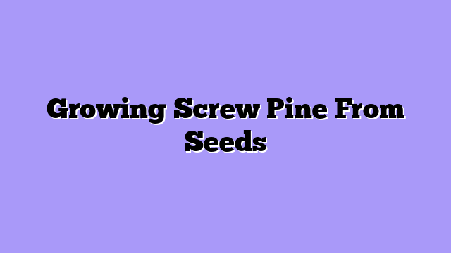 Growing Screw Pine From Seeds