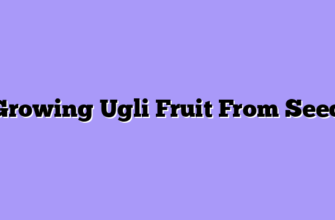 Growing Ugli Fruit From Seed
