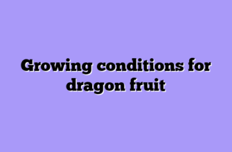 Growing conditions for dragon fruit