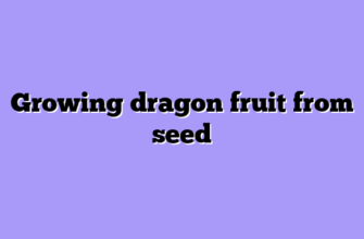 Growing dragon fruit from seed
