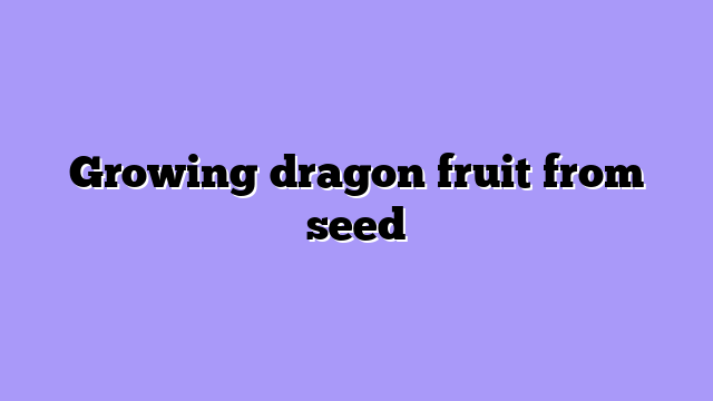 Growing dragon fruit from seed