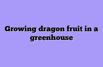 Growing dragon fruit in a greenhouse