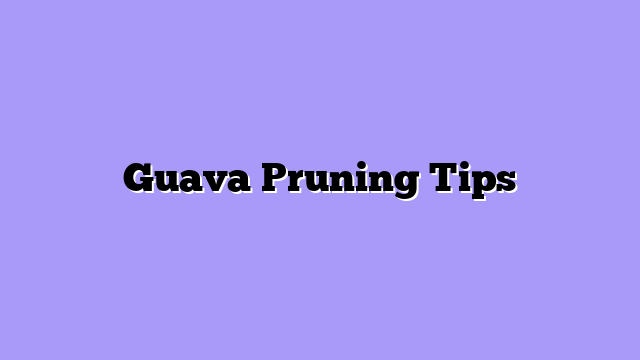 Guava Pruning Tips