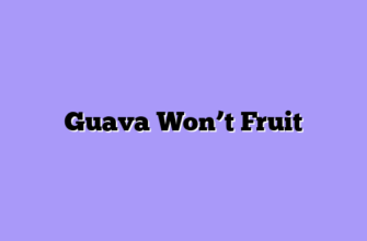 Guava Won’t Fruit