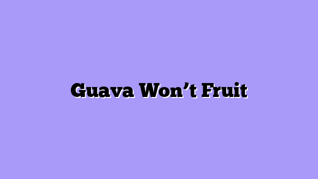 Guava Won’t Fruit