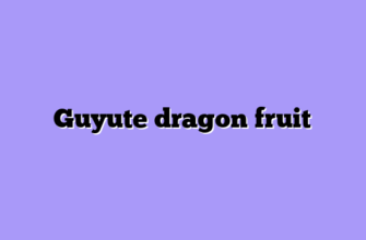 Guyute dragon fruit