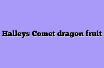 Halleys Comet dragon fruit