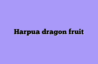Harpua dragon fruit