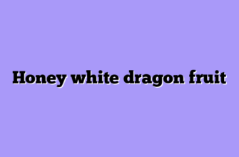 Honey white dragon fruit