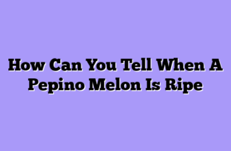 How Can You Tell When A Pepino Melon Is Ripe