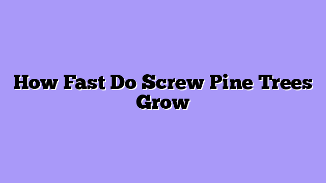 How Fast Do Screw Pine Trees Grow