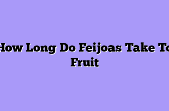 How Long Do Feijoas Take To Fruit