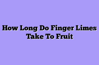 How Long Do Finger Limes Take To Fruit