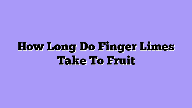 How Long Do Finger Limes Take To Fruit