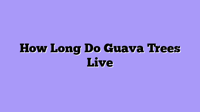 How Long Do Guava Trees Live