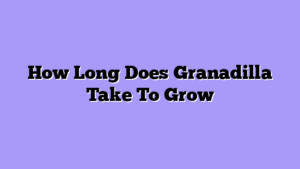 How Long Does Granadilla Take To Grow