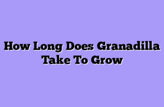 How Long Does Granadilla Take To Grow