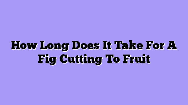How Long Does It Take For A Fig Cutting To Fruit