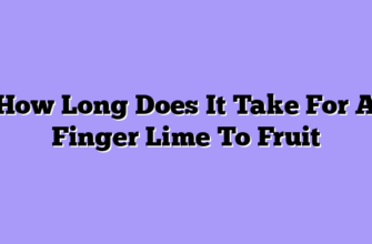 How Long Does It Take For A Finger Lime To Fruit