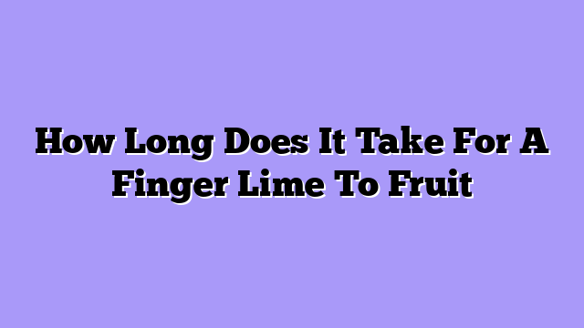 How Long Does It Take For A Finger Lime To Fruit