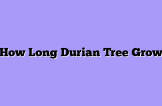 How Long Durian Tree Grow