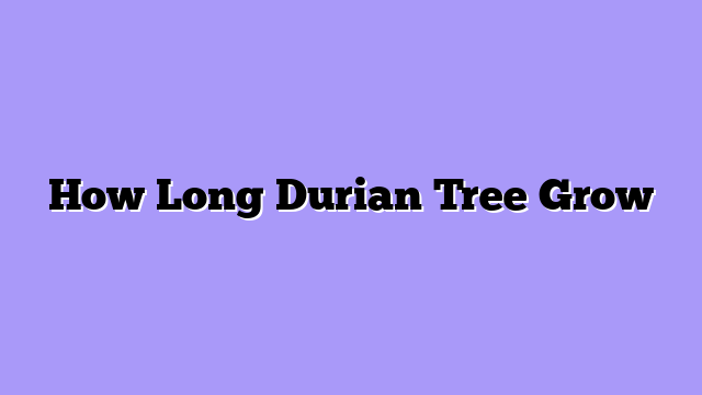How Long Durian Tree Grow