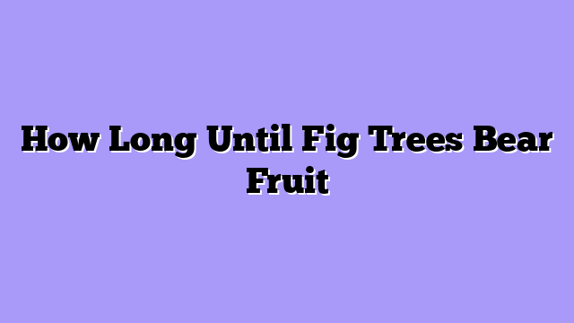 How Long Until Fig Trees Bear Fruit